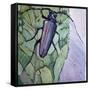 Musk Beetle, 1991-Peter Wilson-Framed Stretched Canvas