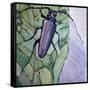 Musk Beetle, 1991-Peter Wilson-Framed Stretched Canvas