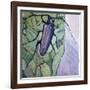 Musk Beetle, 1991-Peter Wilson-Framed Giclee Print