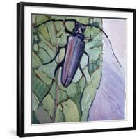 Musk Beetle, 1991-Peter Wilson-Framed Giclee Print