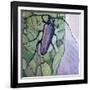 Musk Beetle, 1991-Peter Wilson-Framed Giclee Print