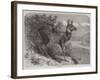 Musk Deer-Johann Baptist Zwecker-Framed Giclee Print