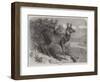 Musk Deer-Johann Baptist Zwecker-Framed Giclee Print