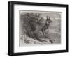 Musk Deer-Johann Baptist Zwecker-Framed Giclee Print