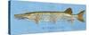 Muskellunge-John Golden-Stretched Canvas