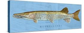 Muskellunge-John Golden-Stretched Canvas