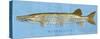 Muskellunge-John Golden-Stretched Canvas