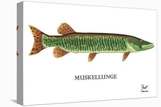 Muskellunge-Mark Frost-Stretched Canvas