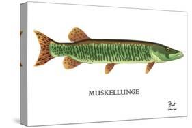 Muskellunge-Mark Frost-Stretched Canvas