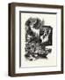 Muskoka Scenery: Giant's Causeway; Minnehana Falls, Skeleton River, Canada, Nineteenth Century-null-Framed Giclee Print