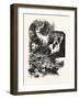 Muskoka Scenery: Giant's Causeway; Minnehana Falls, Skeleton River, Canada, Nineteenth Century-null-Framed Giclee Print