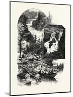 Muskoka Scenery: Giant's Causeway; Minnehana Falls, Skeleton River, Canada, Nineteenth Century-null-Mounted Giclee Print