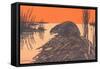 Muskrat on Dam-null-Framed Stretched Canvas