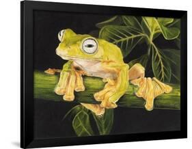 Musky Flying Frog-Barbara Keith-Framed Giclee Print