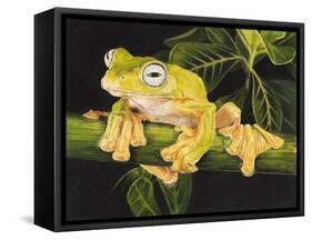 Musky Flying Frog-Barbara Keith-Framed Stretched Canvas