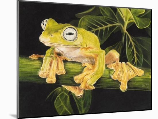 Musky Flying Frog-Barbara Keith-Mounted Giclee Print