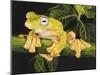 Musky Flying Frog-Barbara Keith-Mounted Giclee Print