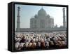 Muslim Faithful Pray at the Mosque in the Taj Mahal Complex to Celebrate Eid-Al-Fitr-null-Framed Stretched Canvas