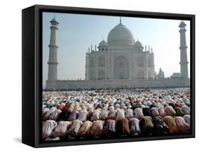 Muslim Faithful Pray at the Mosque in the Taj Mahal Complex to Celebrate Eid-Al-Fitr-null-Framed Stretched Canvas