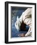 Muslim Man Praying, Dubai, United Arab Emirates, Middle East-null-Framed Photographic Print