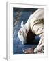 Muslim Man Praying, Dubai, United Arab Emirates, Middle East-null-Framed Photographic Print