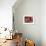 Muslim Man Walks by Wall of Moroccan Pottery, Marrakech, Morocco-John & Lisa Merrill-Framed Photographic Print displayed on a wall