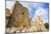 Muslim military fort of Ajloun, Jordan.-Nico Tondini-Mounted Photographic Print