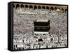 Muslim Pilgrims Performing the Hajj, at the Afternoon Prayers Inside the Grand Mosque, Mecca-null-Framed Stretched Canvas