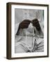 Muslim Prayer Beads, Brazzaville, Congo, Africa-Godong-Framed Photographic Print