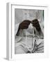 Muslim Prayer Beads, Brazzaville, Congo, Africa-Godong-Framed Photographic Print