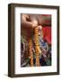 Muslim prayer beads, Lome, Togo-Godong-Framed Photographic Print
