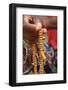 Muslim prayer beads, Lome, Togo-Godong-Framed Photographic Print