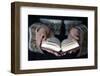 Muslim woman reading the Noble Quran, United Arab Emirates, Middle East-Godong-Framed Photographic Print