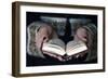 Muslim woman reading the Noble Quran, United Arab Emirates, Middle East-Godong-Framed Photographic Print