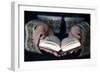 Muslim woman reading the Noble Quran, United Arab Emirates, Middle East-Godong-Framed Photographic Print