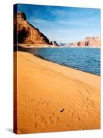 Mussel Shell at Dungeon Canyon, Lake Powell-James Denk-Stretched Canvas