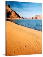 Mussel Shell at Dungeon Canyon, Lake Powell-James Denk-Stretched Canvas