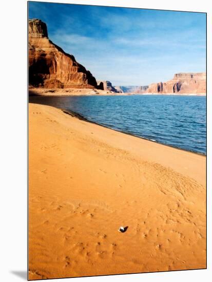 Mussel Shell at Dungeon Canyon, Lake Powell-James Denk-Mounted Photographic Print