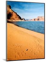 Mussel Shell at Dungeon Canyon, Lake Powell-James Denk-Mounted Photographic Print