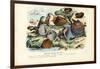 Mussels, 1863-79-Raimundo Petraroja-Framed Giclee Print