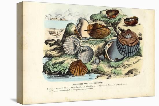 Mussels, 1863-79-Raimundo Petraroja-Stretched Canvas