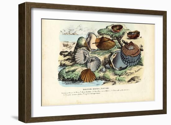 Mussels, 1863-79-Raimundo Petraroja-Framed Giclee Print