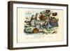 Mussels, 1863-79-Raimundo Petraroja-Framed Giclee Print