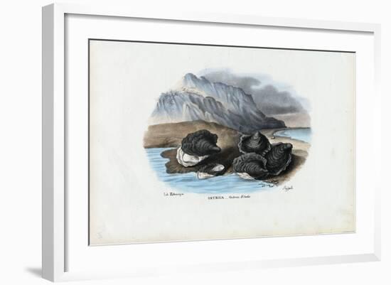 Mussels, 1863-79-Raimundo Petraroja-Framed Giclee Print