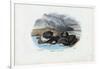 Mussels, 1863-79-Raimundo Petraroja-Framed Premium Giclee Print