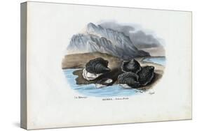 Mussels, 1863-79-Raimundo Petraroja-Stretched Canvas