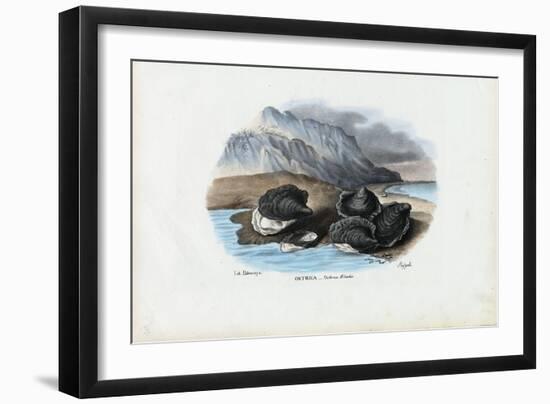 Mussels, 1863-79-Raimundo Petraroja-Framed Giclee Print