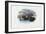 Mussels, 1863-79-Raimundo Petraroja-Framed Giclee Print