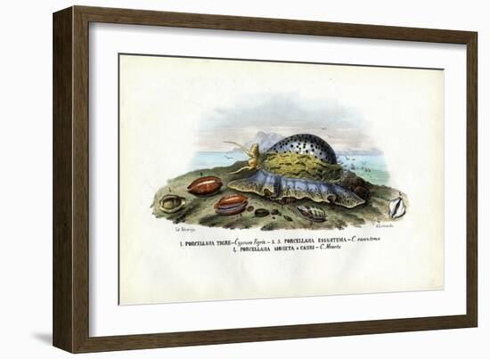 Mussels, 1863-79-Raimundo Petraroja-Framed Giclee Print