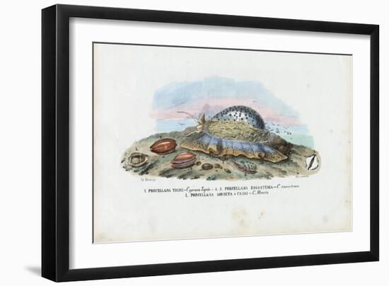 Mussels, 1863-79-Raimundo Petraroja-Framed Giclee Print